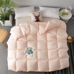 Thickened and warm duvet insert L7