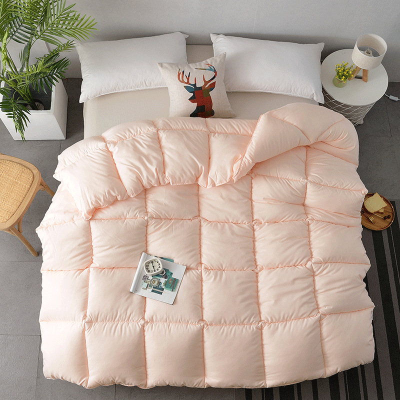 Thickened and warm duvet insert L7